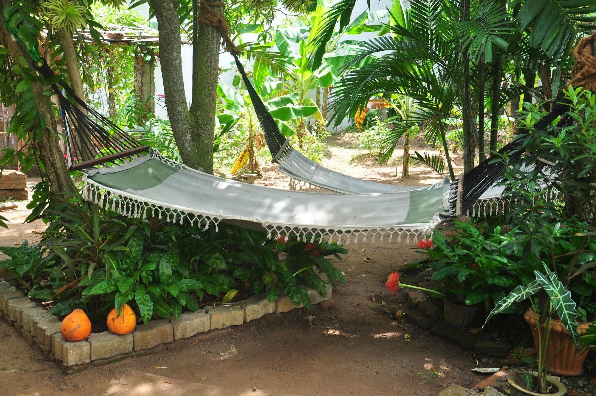 Blue Seas Guest House Dehiwala-Mount Lavinia Eksteriør bilde